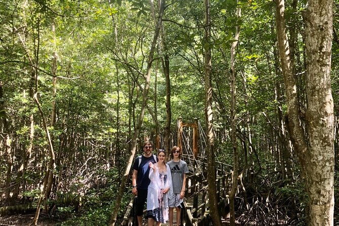 1-Day Can Gio Island-Mangrove Biosphere Reserve-Trekking - Lunch, seafood market sights, and Hang Duong fruit sampling