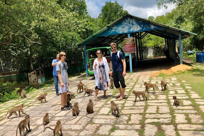 1-Day Can Gio Island-Mangrove Biosphere Reserve-Trekking - Price and value: what $85 really covers
