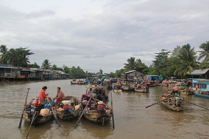 1-day Mekong Delta Tour: Cai Be Market, Local Island and Cycling - Private-Party Feel and Guide Quality: Nancy, Cong, Tram, and More