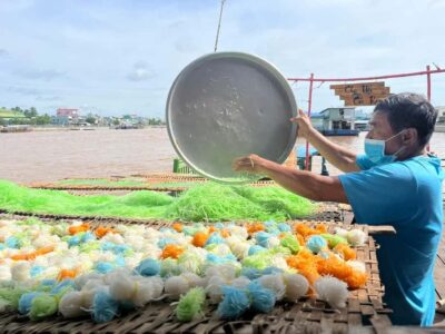 1 Day Mekong Tour: Cai Rang Floating Market & MyTho-Ben Tre - Ho Chi Minh City to Can Tho: the drive that sets expectations