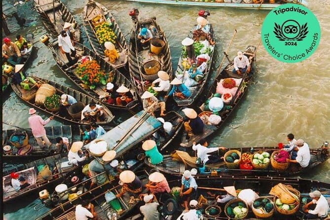 11 Days Tour Discover Vietnam | See the best of Vietnam | 2026-27 - Cham Island Day Trip and Your Hoi An Window