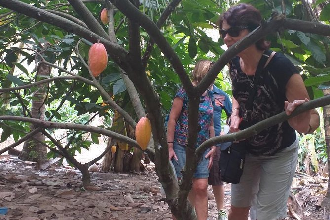 2-Day Mekong Delta with Cai Cang Floating Market from HCM City - Cai Be Floating Market Day One: More Than Market Photos