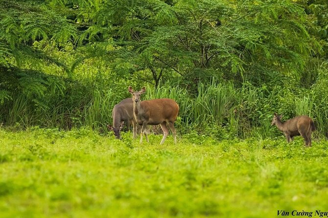 2-Day Trekking & Biking Nam Cat Tien National Park from HCM City - What to pack for leeches, rain, and cycling comfort