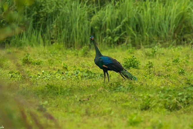 2-Day Trekking & Biking Nam Cat Tien National Park from HCM City - Who this tour suits best (and who should think twice)