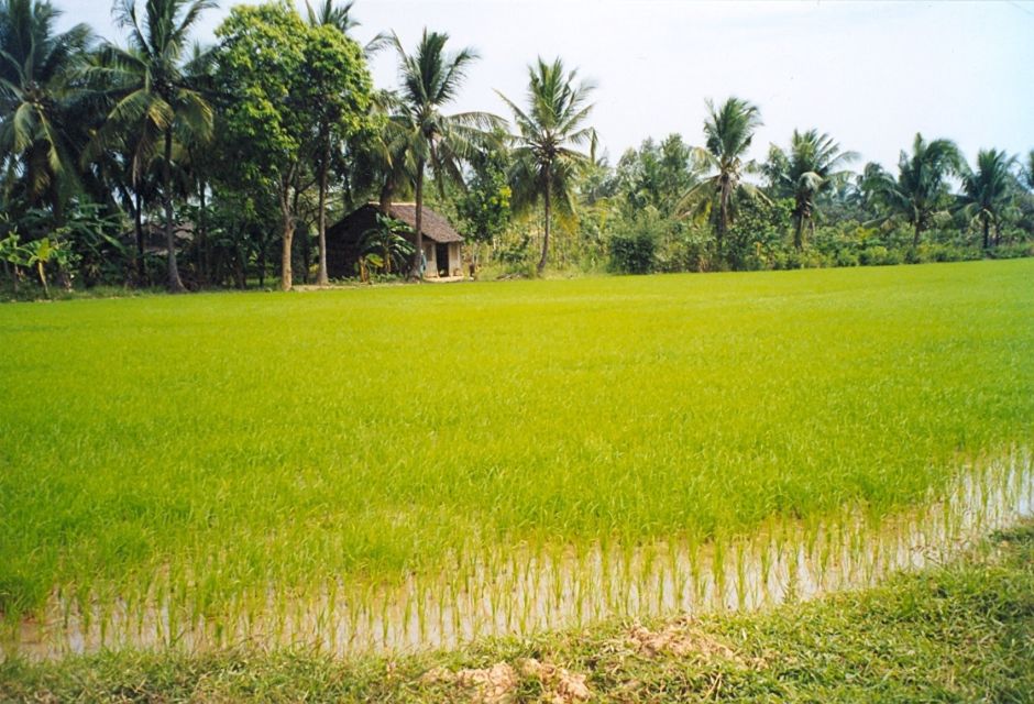 A Day Tour to Cu Chi Tunnels and Mekong Delta - Who This Tour Fits Best (and Who Might Want to Reconsider)