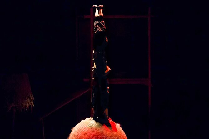 A O Show - Included: Tour guide, Car Pick Up And Drop Off - Inside Lune Production: The Story Told Through Bodies and Bamboo