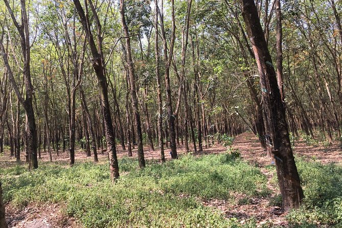 Ben Duoc - Authentic Cu Chi Tunnels Private Tour - Touring the tunnels without turning it into a race