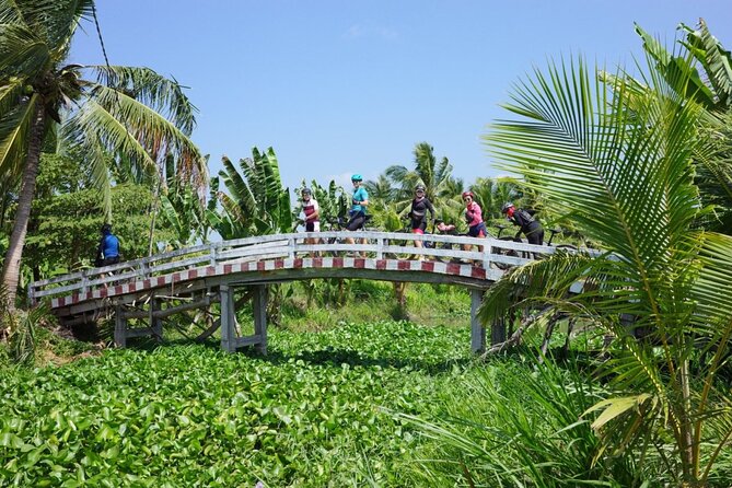 Bike And Boat Mekong Delta Cycling Tour - Getting back to Saigon by private vehicle