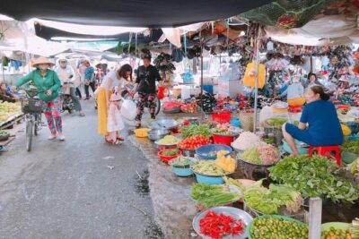 Cai Be Vinh Long & Cooking Class 1 Day Private Tour - Honey bee tea, fruit orchards, and the snacks that make it real