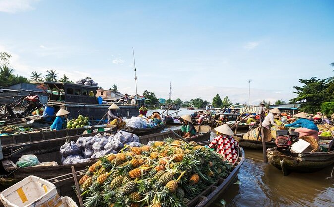 Cai Rang floating market and Mekong Delta Private Tour from HCMC - Vinh Long Province and a quick fruit-market stop