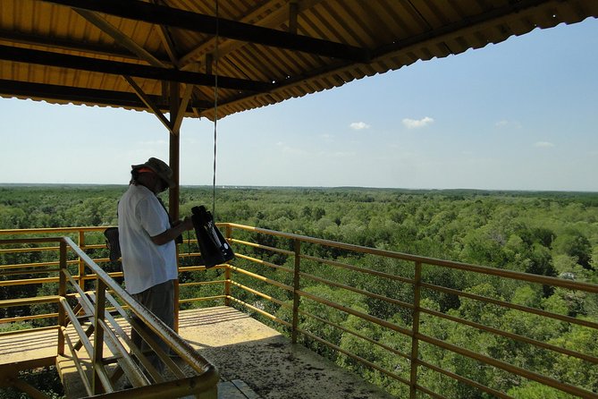 Can Gio Mangrove Eco And Wildlife Discovery Tour - Vam Sat Ecological Tourist Zone: birds, crocodiles, and bat lagoon time