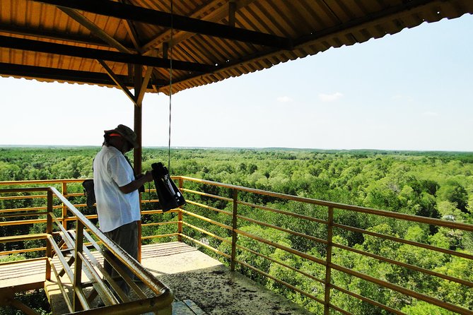 Can Gio Mangrove Eco And Wildlife Discovery Tour - Mangrove canoe toward Rung Sac: a quieter ride with a heavy message