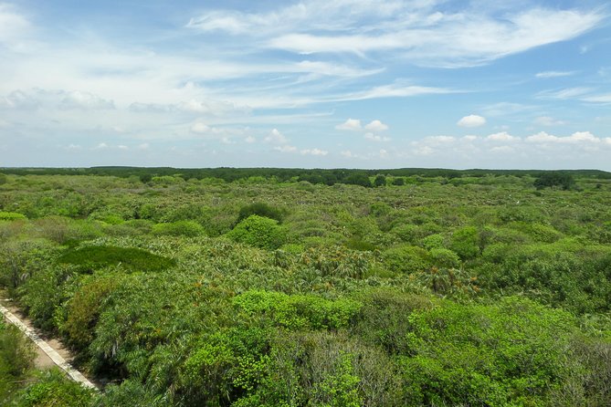 Can Gio Mangrove Eco And Wildlife Discovery Tour - Price and value: $169 is steep, but the inclusions matter