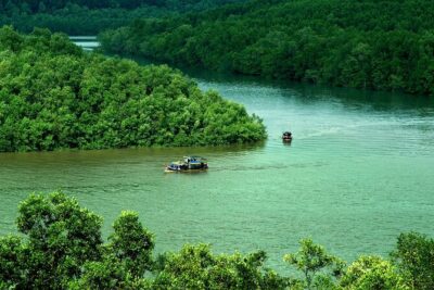 Can Gio Mangrove Forest 1 day tour - Crocodile farm and mangrove wildlife: what you’ll actually spend time on