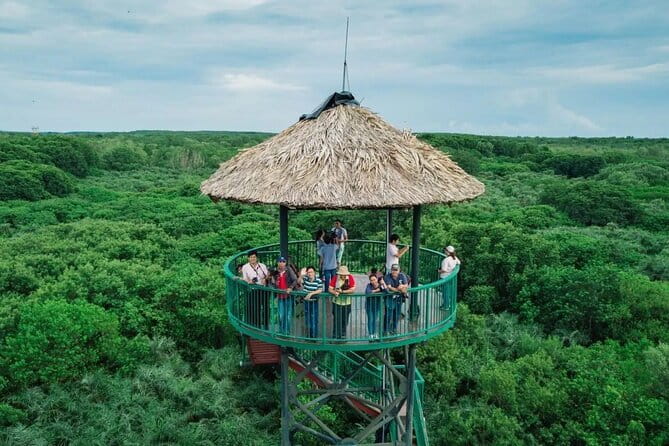 Can Gio Mangrove Forest Island Private Tour From Ho Chi Minh City - War history context and the lunch pause you’ll actually need