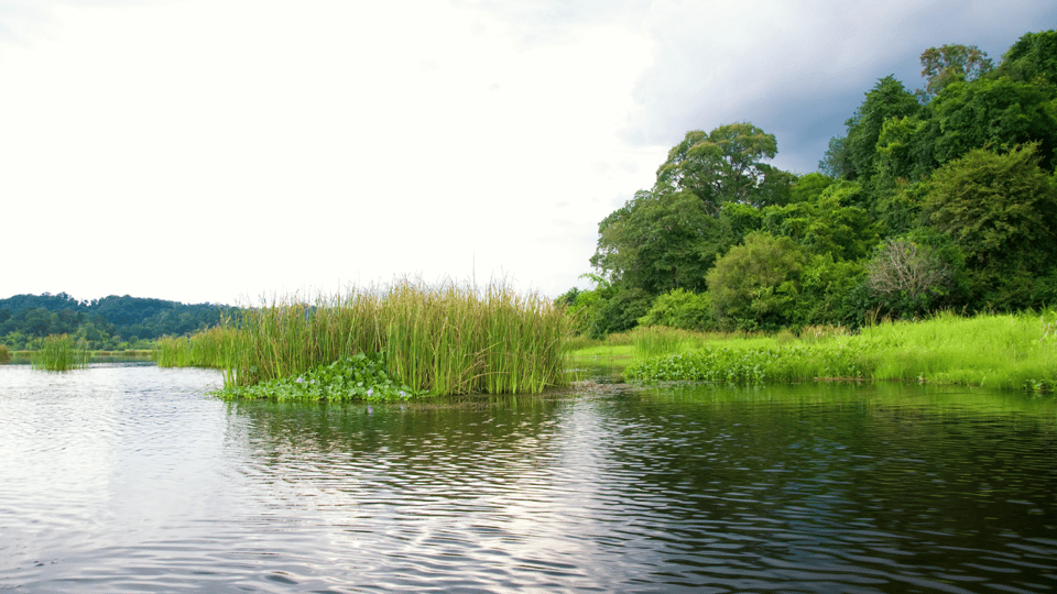 Cat Tien National Park with Crocodile Lake - What to Bring and How to Make the Wildlife Part Work