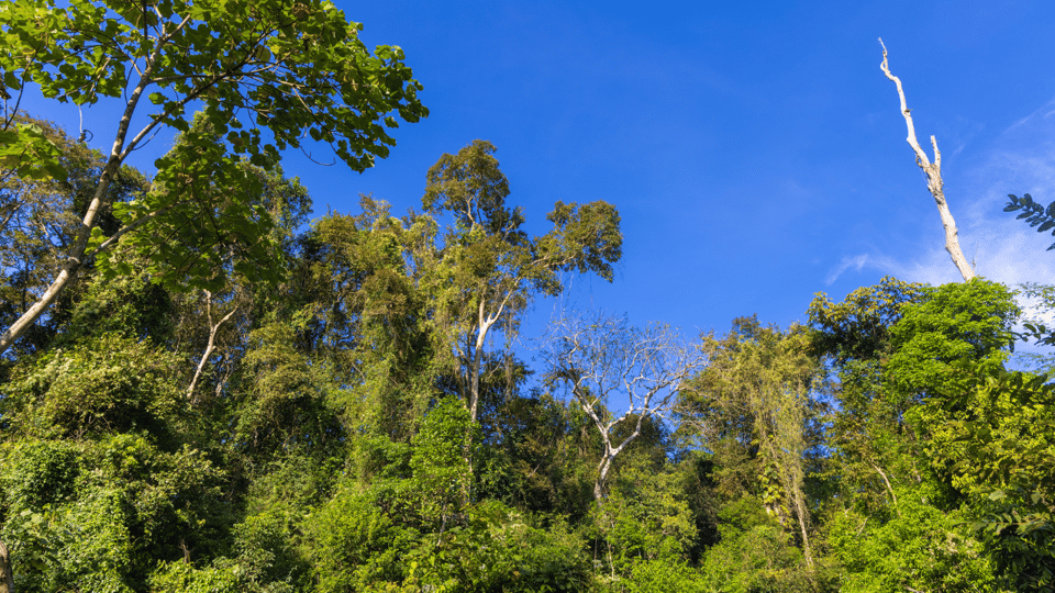 Cat Tien National Park with Crocodile Lake - Entering Cat Tien: Calm, Wildlife Time, and a Manageable Pace