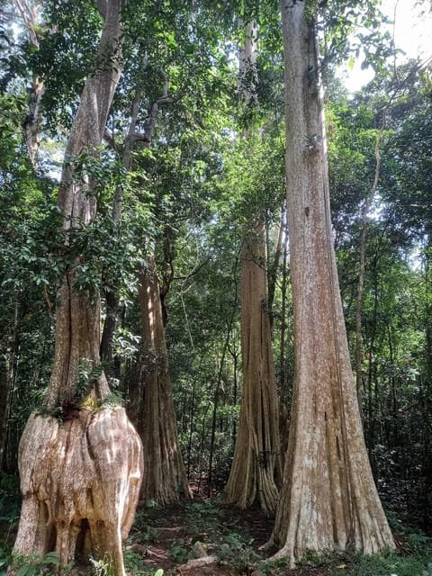 Cat Tien National Park with Crocodile Lake - Price and Value: What $165 Covers, and What It Doesn’t