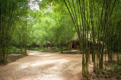 Cu Chi Tunnel Half Day - Small Group Tour - The Schedule Feel: About 7 Hours Total, with Real Tunnel Time