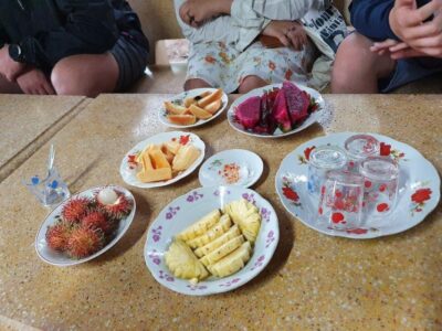 Cu Chi Tunnels and Mekong Delta Adventure 1 day - Getting There from Ho Chi Minh City with A/C Comfort