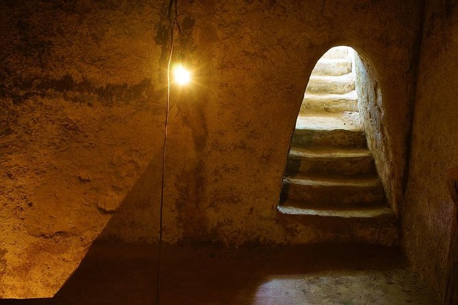 Cu Chi Tunnels Tour with LUNCH (Pho)-LESS TOURISTY-Max 7pax - The aboveground lesson: guided walking at Ben Dinh
