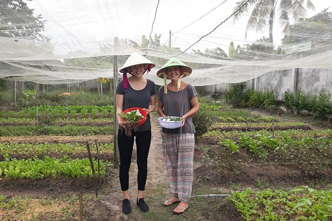Discover vietnamese Agriculture,culture ,Cuisine and Cu chi Tunnels in Saigon - Hands-On Vietnamese Cooking Class: Make Four Dishes and Take It Home