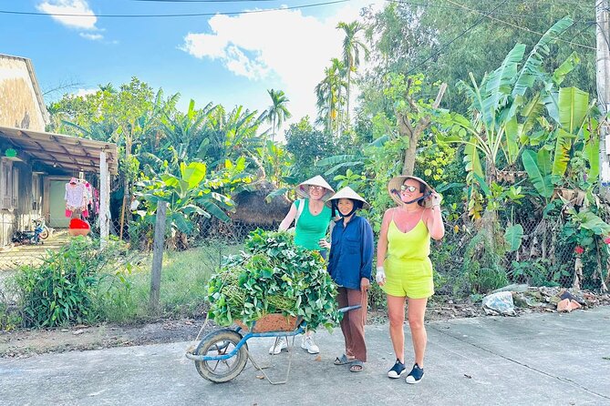 Experience Authentic Mekong Delta Life From Ho Chi Minh City - Price and Logistics: The One Thing to Double-Check