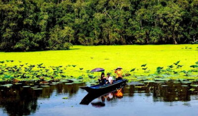 From Ho Chi Minh: 3-Day Mekong Tour&Cai Rang Floating Market - Day 1: Cai Be on the Tien River, fruit gardens, and village hands-on time