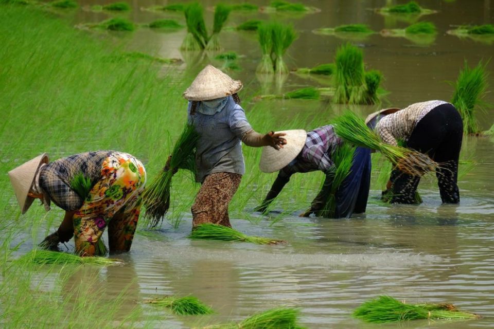 From Ho Chi Minh City: Mekong Delta Full-Day Private Tour - Cai Be Floating Market: Color, Trade, and How It Feels From the Water