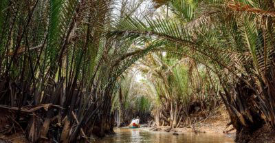 From Ho Chi Minh: Classic Mekong - My Tho, Ben Tre Full Trip - Vinh Trang pagoda: a beautiful, famous landmark to start the Delta mood