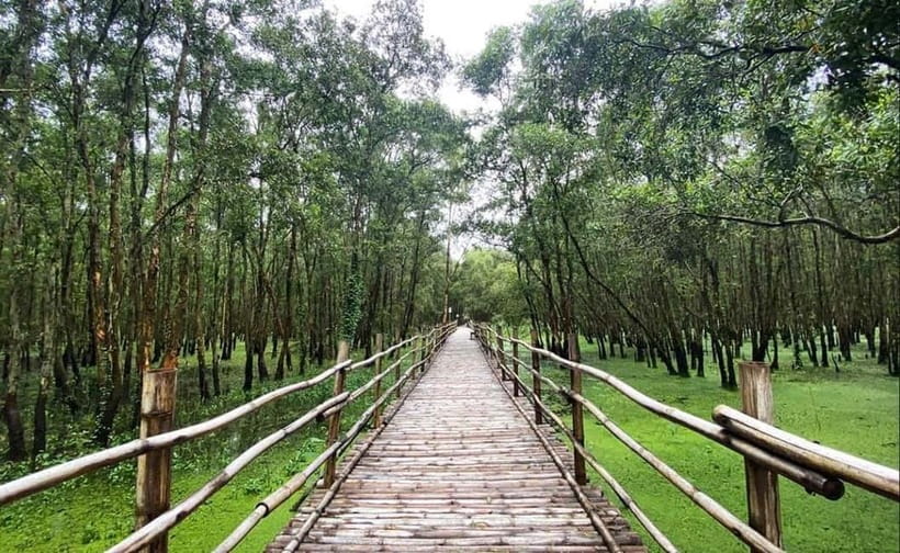 From Ho Chi Minh: Mekong Delta 3-Day Tour with Tra Su Forest - Night in Châu Đốc: what you should plan for