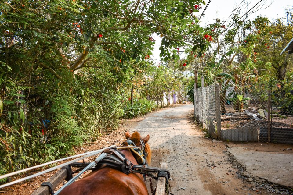 From Ho Chi Minh: Mekong Delta Private Day Tour - Mangrove Canal Rowing, Electric Car Village Time, and Horse-Drawn Transport