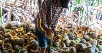 From Ho Chi Minh: Mekong Delta with Ben Tre 1 Day Tour - Pickup Timing and the “Small Group” Benefit (Up to 12)