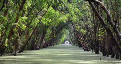 From Ho Chi Minh: Three-Day Mekong Delta Tour - Day 1: Cai Be canals, Tan Phong island bicycle ride, and Chau Doc transfer