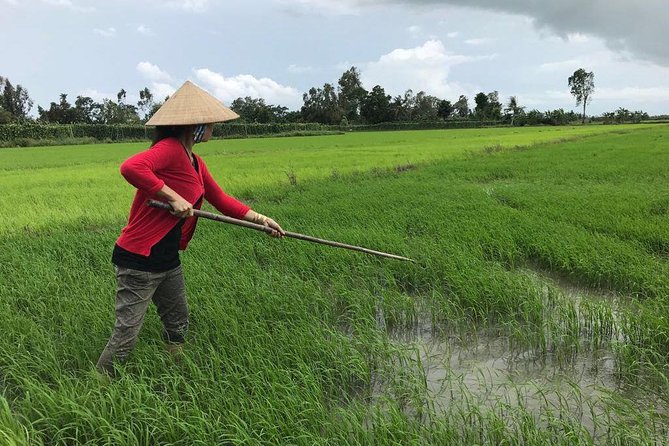 FULL Day - CAI RANG FLOATING MARKET, COOKING CLASS AND EXPLORE THE COUNTRYSIDE - Hammock nap + countryside life: rice fields and fruit picking