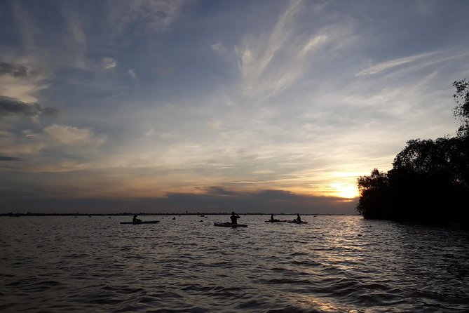 Full Day Experience Mekong River Life By Kayak & Boat. - Key Highlights That Make This Mekong Kayak Day Different