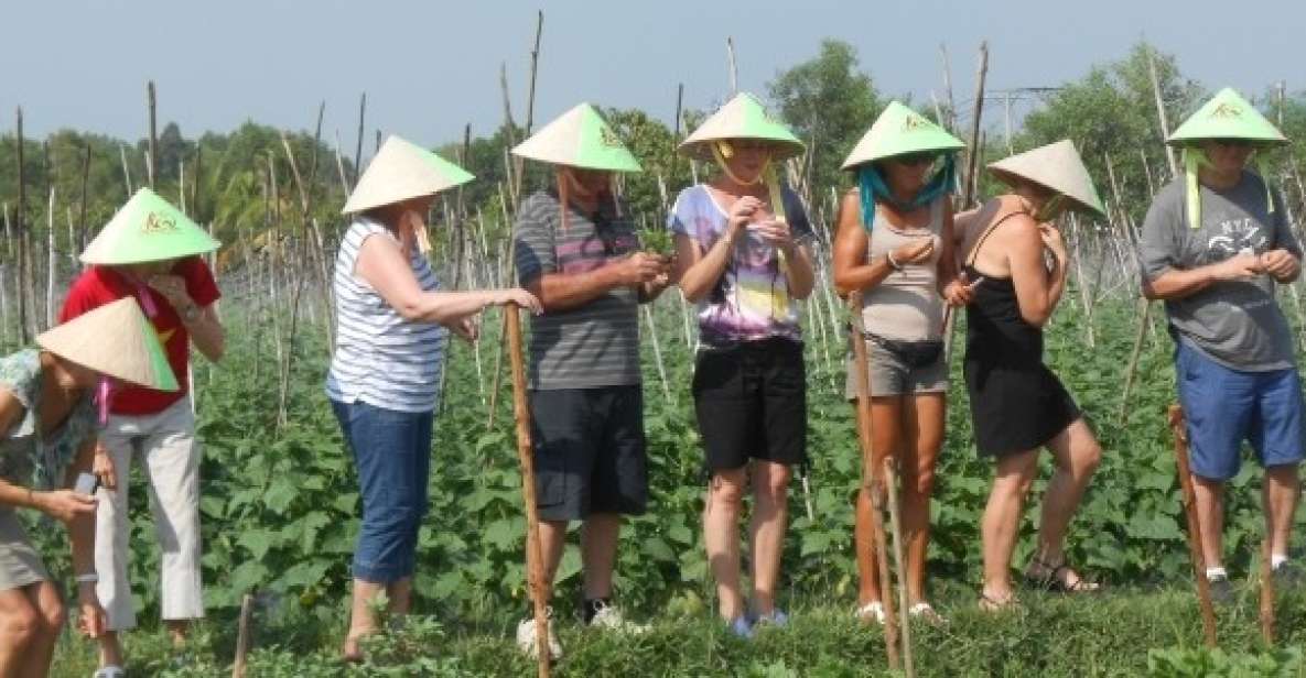 Full-Day Farming & Cooking class at Agricultural Village - Why Cu Chi’s farm-to-table day is practical, not just cute