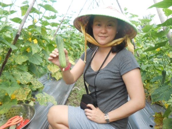 Full-Day Farming & Cooking class at Agricultural Village - Cattle fields, farm routines, and what farming still looks like