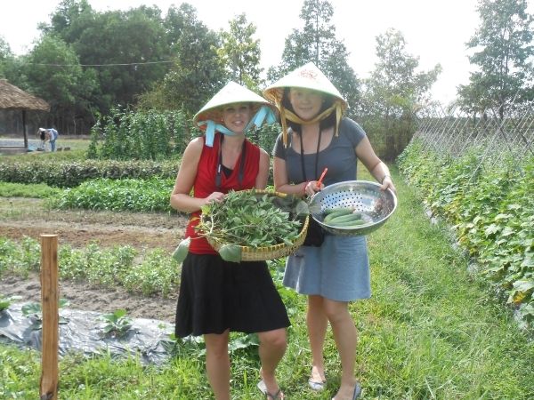 Full-Day Farming & Cooking class at Agricultural Village - Gardens for mushrooms, herbs, and unusual fruit