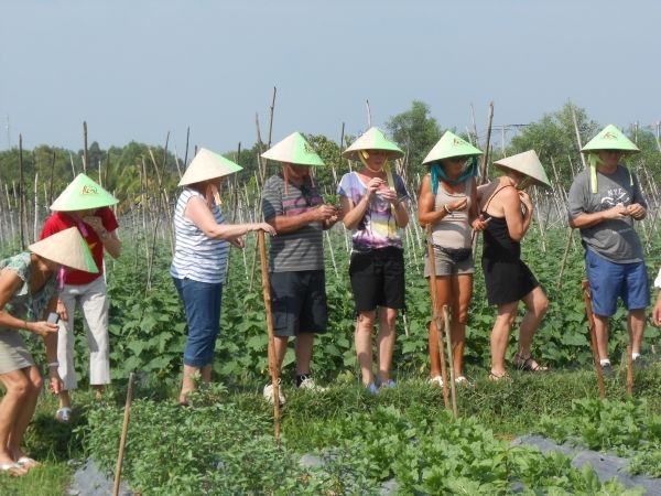 Full-Day Farming & Cooking class at Agricultural Village - Morning logistics: pickup, travel time, and how the day flows