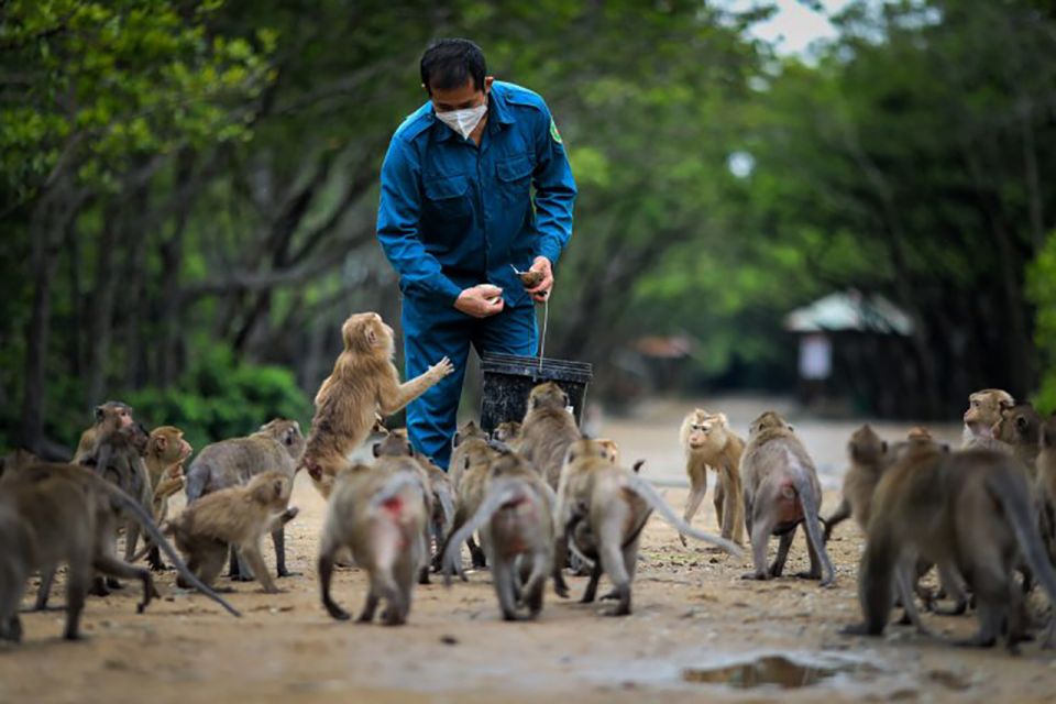 HCM:Can Gio Mangrove Forest Tour-Monkey Island - Cần Giờ Mangrove Biosphere Reserve: UNESCO waterways by speedboat (when the tide cooperates)