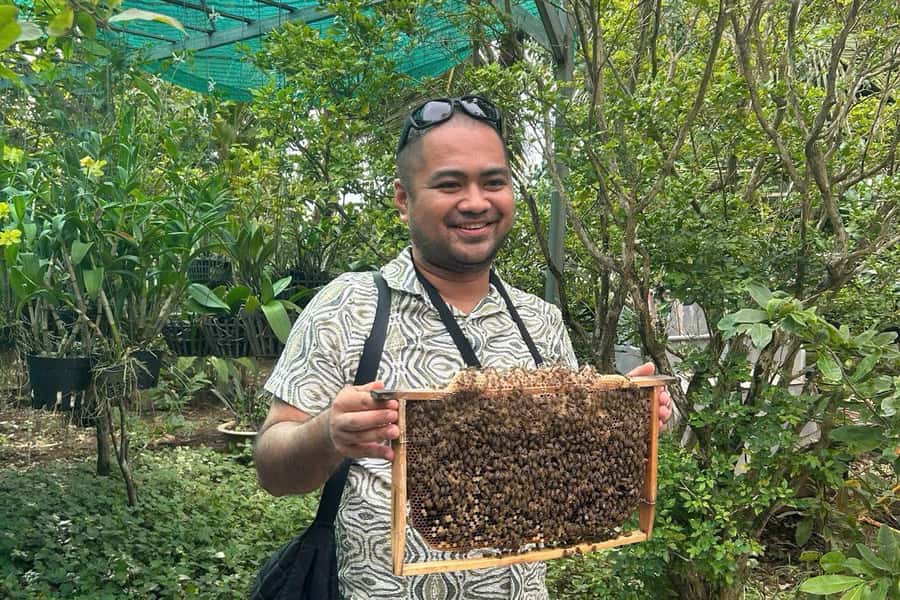 Ho Chi Minh: Adventurous Mekong Delta Full Day Tour - Bao Dinh Canal to Ben Tre: Where the River Turns Into Coconut Country