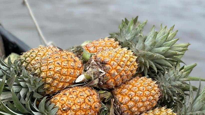 Ho Chi Minh: Authentic boat trip - Cai Rang Floating Market - Key points at a glance