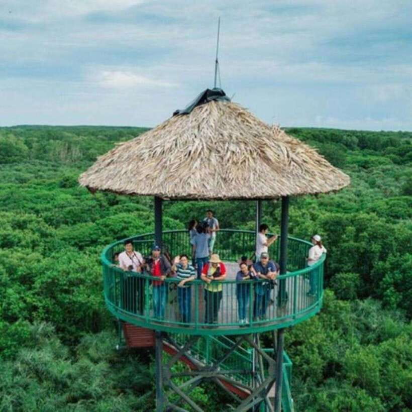 Ho Chi Minh: Can Gio Mangrove and Monkey Island - Key highlights you’ll actually feel