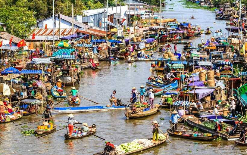 Ho Chi Minh City: Cai Rang Floating Market in Can Tho Tour - Son Islet on the Hau River: fish farms, koi massage, and monkey bridge