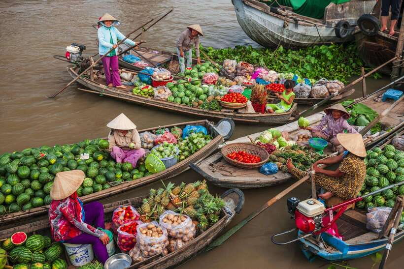 Ho Chi Minh City: Cai Rang Floating Market in Can Tho Tour - Flying menu lunch: community meals with each family contributing