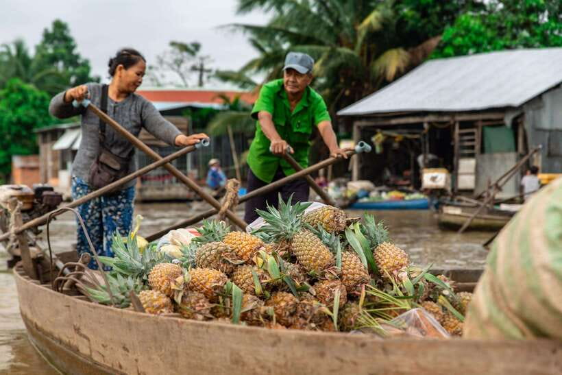 Ho Chi Minh City: Cai Rang Floating Market in Can Tho Tour - Who this tour fits best (and who may want to think twice)