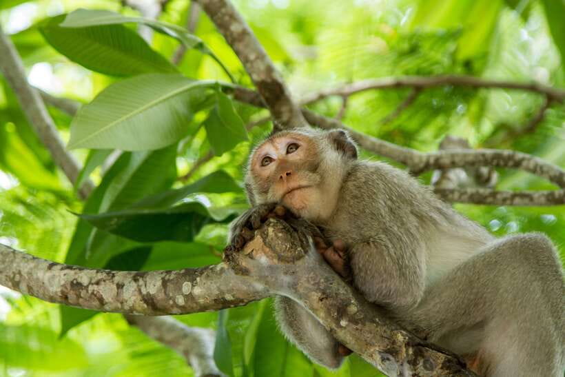 Ho Chi Minh City: Can Gio Eco Escape And Wildlife Discovery - Key takeaways before you go