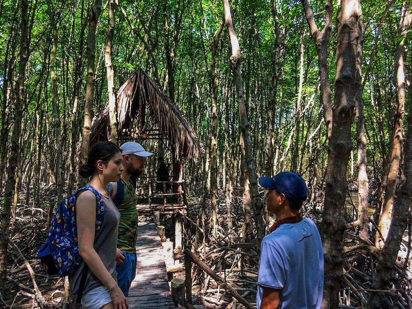 Ho Chi Minh City: Can Gio Eco Escape And Wildlife Discovery - Rừng Sác Guerrilla Base: history woven into the same coastline