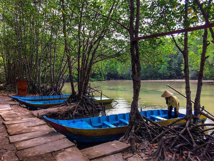 Ho Chi Minh City: Can Gio Eco Escape And Wildlife Discovery - Rừng Đước and Vàm Sát’s bird reserve: best timing and what you’re watching for
